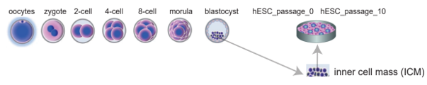 Data_source_fig1